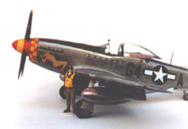 https://www.largescaleplanes.com/articles/images/625/P-51D3.jpg
