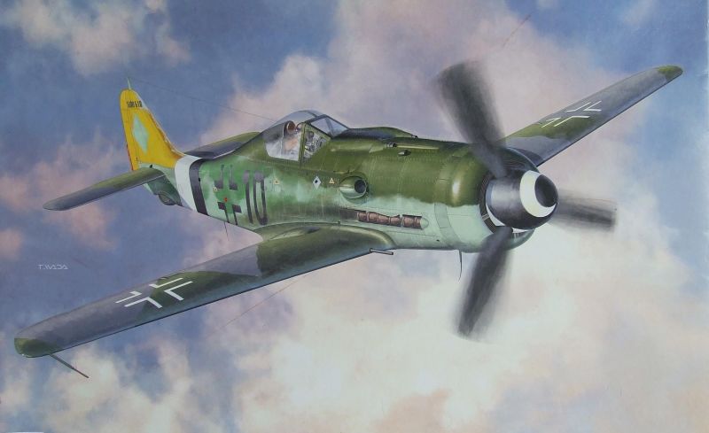 Hasegawa Focke Wulf Fw 190d 9 Large Scale Planes